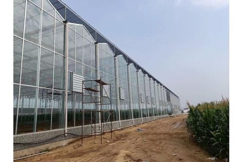 开阳县薄膜温室大棚建设及大棚薄膜应用