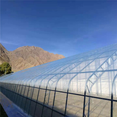 连栋薄膜温室大棚 现代设施农业值得信赖的坚实伙伴