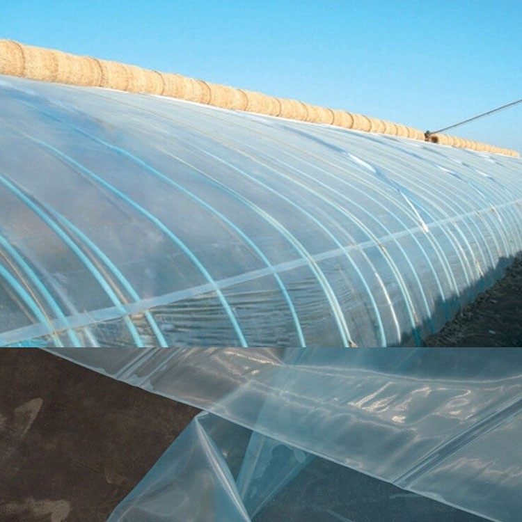 批发大棚塑料薄膜与地膜 选择与使用指南