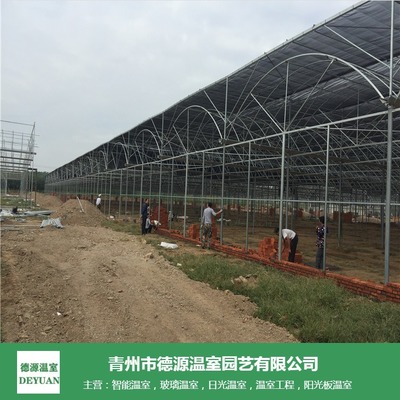 薄膜连栋温室 花卉与蔬菜种植的经济选择与造价解析