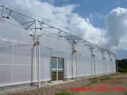 走进寿光富华连栋薄膜温室 科技农业的绿色画卷