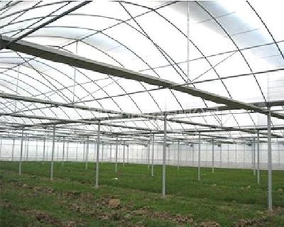 中联塑料蔬菜大棚膜 价格与应用解析