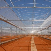 薄膜连栋温室大棚工程建设与薄膜选择指南