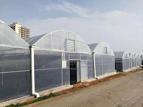 梦洋温室薄膜 专业订制，助力花卉温室高产高效