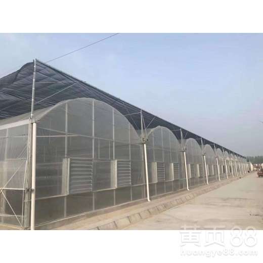 广西樱桃薄膜连体温室大棚施工报价解析