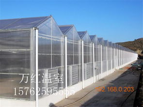 温室大棚选购指南 薄膜、玻璃与生态玻璃温室的对比与推荐