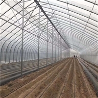 连栋薄膜温室大棚 结构解析、价格因素与大棚薄膜选型指南