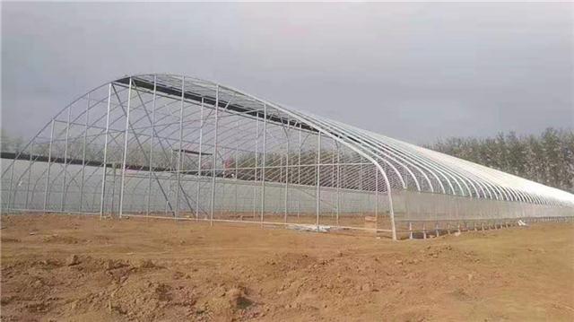 天津大邱庄蔬菜大棚 镀锌钢管薄膜大棚中的黄瓜种植技术