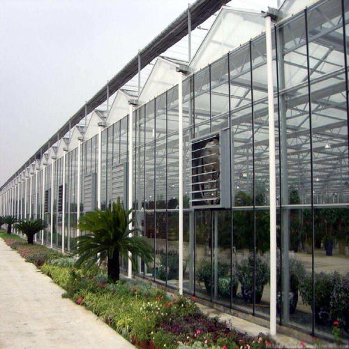 生态园餐厅建设中的关键一环 大棚薄膜的选择与温室造价解析